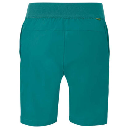 Kids Qimsa Stretch Shorts - wave - Rückansicht