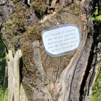 Ein Baum mit einem Schild am Stamm