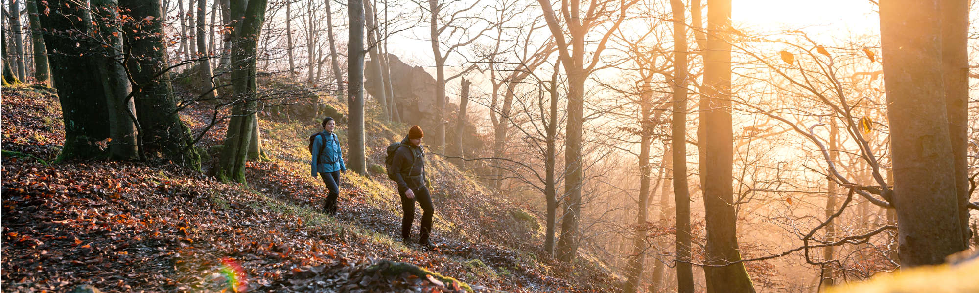 Eine Mann und eine Frau spazieren durch den herbstilichen Wald