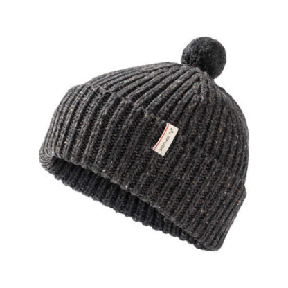 Coreway Beanie - black