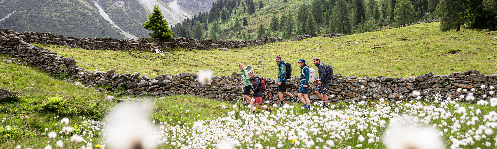 Fünf Leute wandern in den Bergen an einer Steinmauer entlang